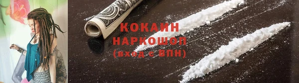 крисы Медногорск