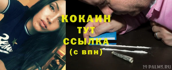 стаф Мегион