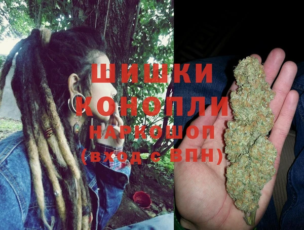 стаф Мегион