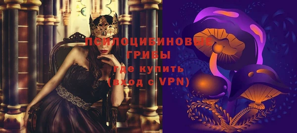стаф Мегион