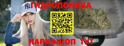 Альфа ПВП Кандалакша