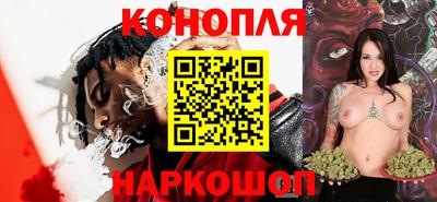 jwh Камышлов