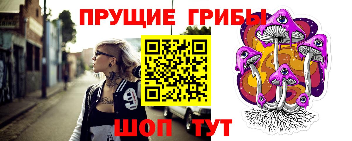 Новотроицк  Псилоцибиновые грибы Psilocybe  Вход с VPN 